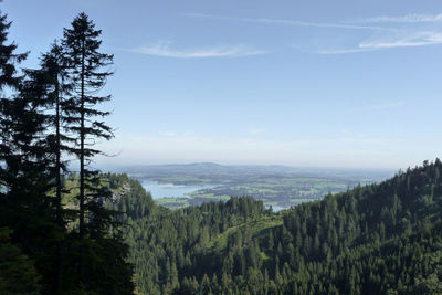 Forggensee lake from tegelberg mountain, bavaria, germany
