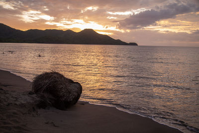 Close-up of haystack at beach against sky during sunset