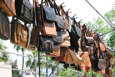 Low angle view of clothes hanging on wood