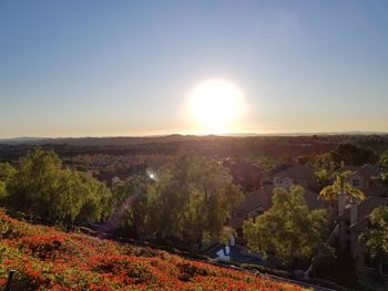 Scenic view of landscape against sky during sunset