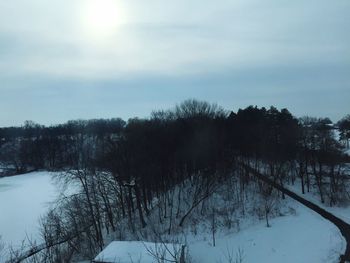 Trees on snow covered landscape