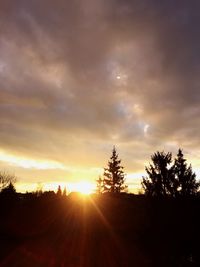 Silhouette trees on landscape against sunset sky