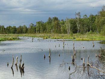 Scenic view of lake against sky