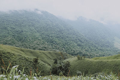 Scenic view of landscape during foggy weather