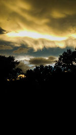 Silhouette trees against sky during sunset