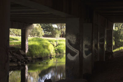 Trees and built structure in water