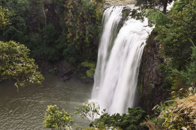 Scenic view of waterfall in forest