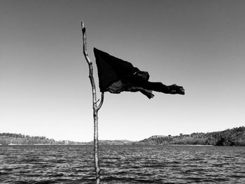 Low angle view of flag against the sky