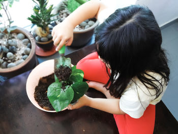 High angle view of girl with plant on table