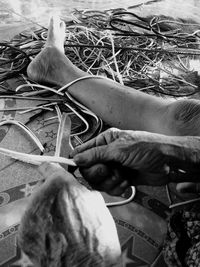 Close-up of hand feeding