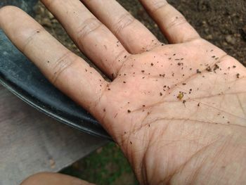 Close-up of hand holding dust