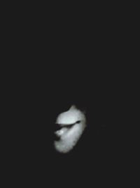black background