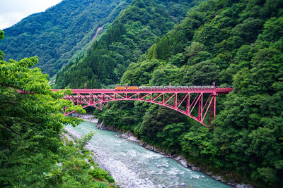 A train on kurobe gorge railway in japan, goes on a bridge that crosses a gorge.