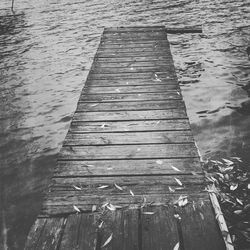 Reflection of wooden structure in water