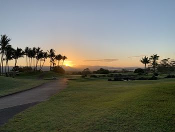 Scenic view of palm trees against clear sky during sunset