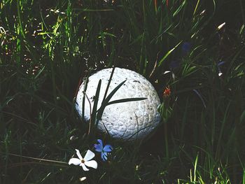 Close-up of ball on field