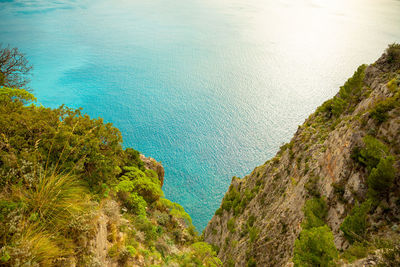 High angle view of sea and trees