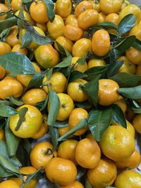 Full frame shot of fruits