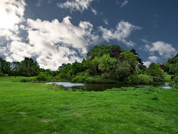 Empty golf course 