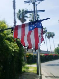 Close-up of flags hanging against trees