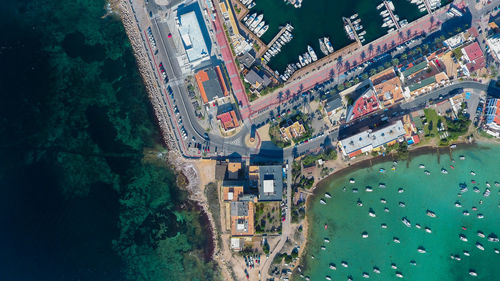 High angle view of trees and buildings in city