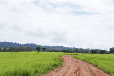 Dirt road amidst agricultural field against sky