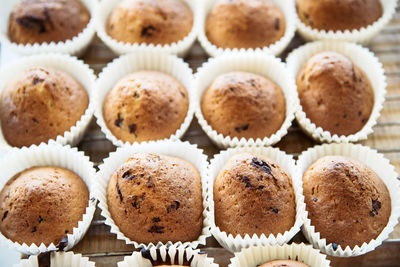 High angle view of homemade muffins with chocolate chips on table