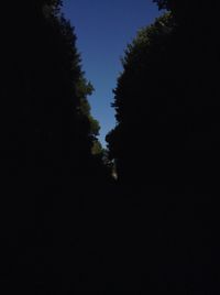 Silhouette trees against clear sky