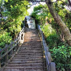 Low angle view of staircase in forest