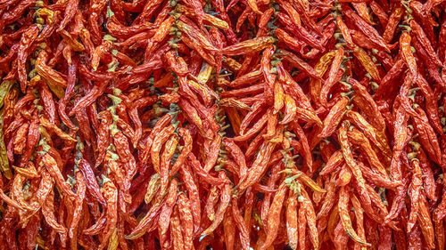 Full frame shot of red chili peppers for sale in market