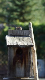 Close-up of wood