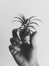 Close-up of man holding leaf