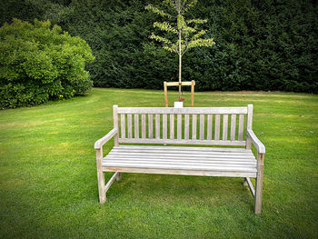 Empty bench in lawn