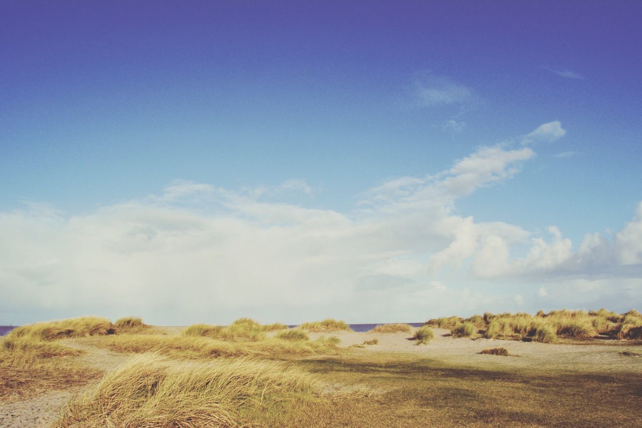 sky, tranquility, tranquil scene, blue, landscape, scenics, beauty in nature, nature, cloud - sky, cloud, field, day, non-urban scene, horizon over land, remote, idyllic, outdoors, no people, grass, copy space