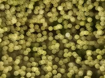 Full frame shot of defocused lights