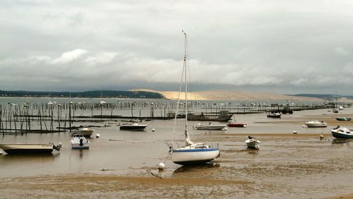 Boats moored in harbor