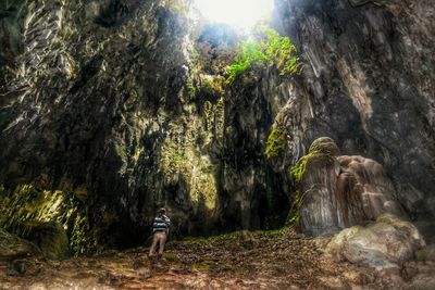 Rock formation in forest