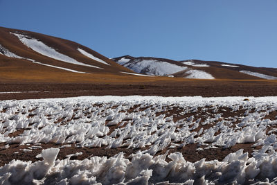 Scenic view of field against clear sky