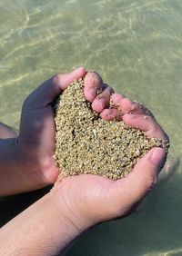 Cropped hand of woman holding water