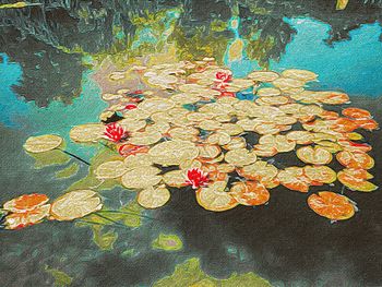 wall - building feature