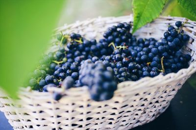 Close-up of grapes in basket