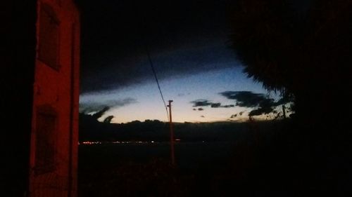 Close-up of silhouette trees against sky at night