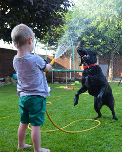 Full length of boy standing at yard