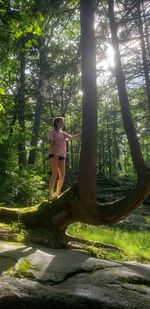 Woman standing by tree trunk in forest