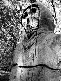 Portrait of woman with tree trunk