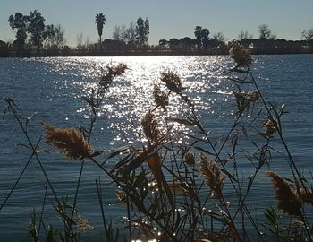 Scenic view of lake against sky