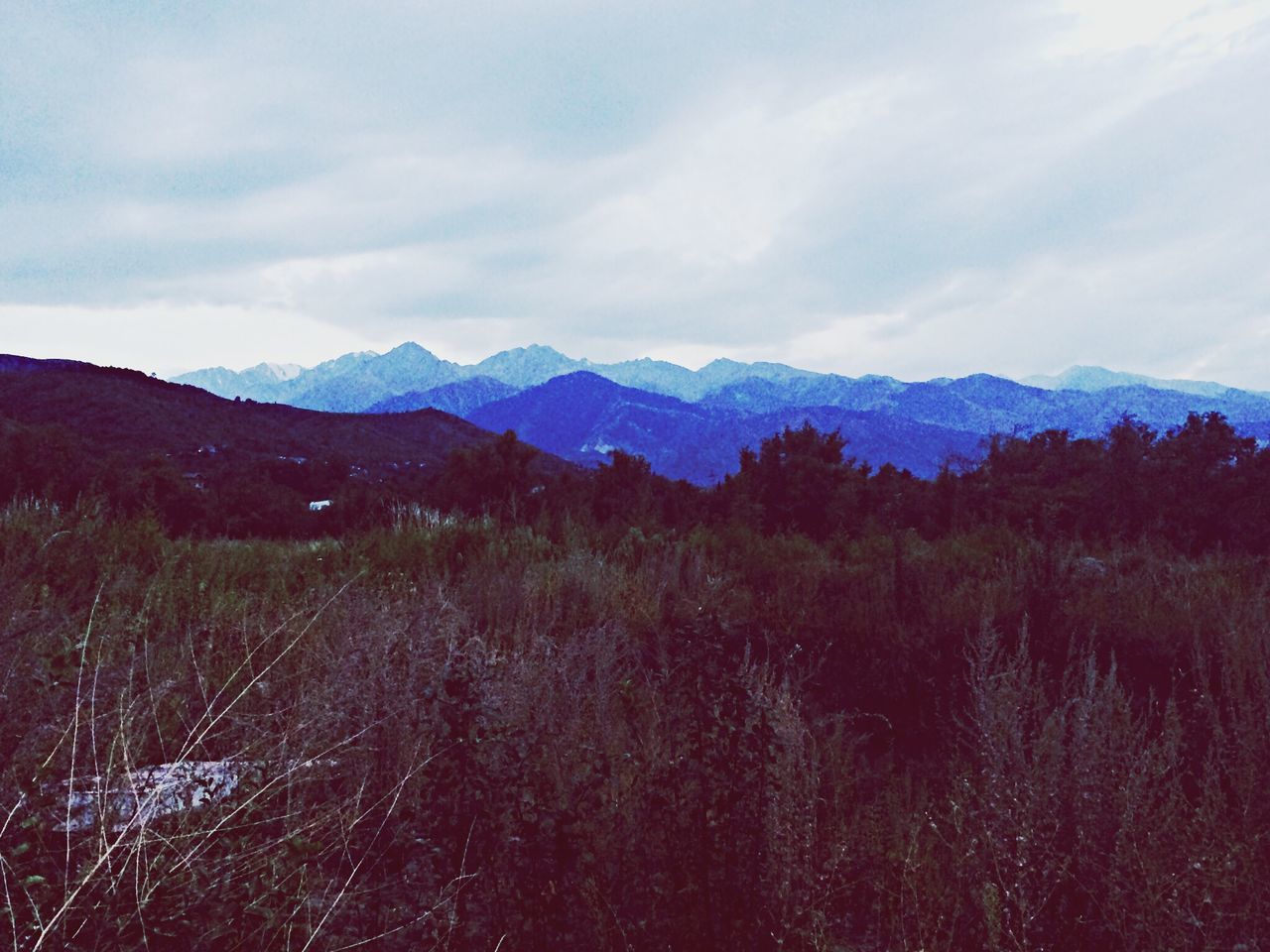 mountain, mountain range, tranquil scene, tranquility, scenics, sky, beauty in nature, tree, landscape, nature, cloud - sky, non-urban scene, idyllic, cloud, growth, outdoors, day, remote, no people, non urban scene