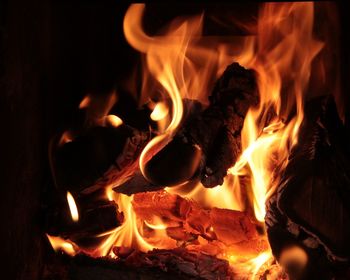 Close-up of bonfire at night