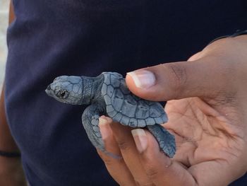 Close-up of man holding hands