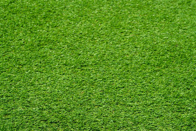 Green grass